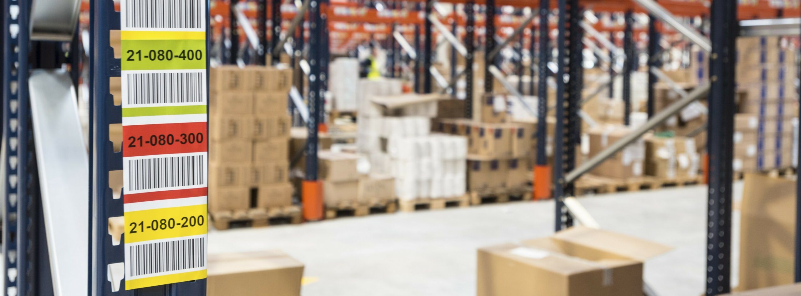 GPLG Chartres-61 (large)