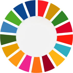 rse-wheel